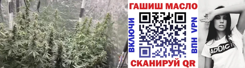 Купить закладки  Белая Холуница  Дистиллят ТГК концентрат 